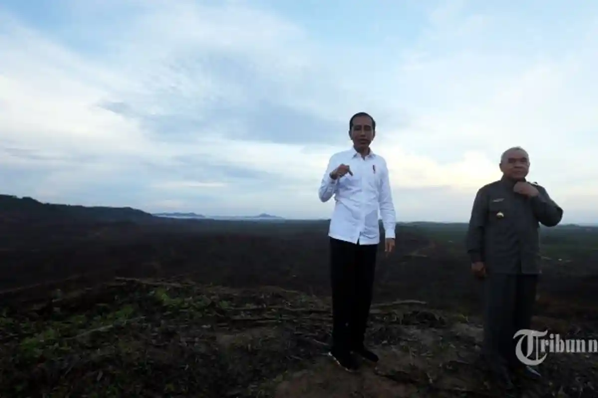 Jokowi Ingin Berkemah di Titik Nol Ibu Kota Negara Nusantara, Gubernur: Waktunya Sedang Diatur