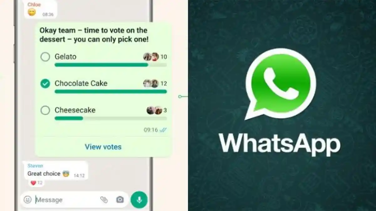 Cara Membuat WhatsApp Polls, Fitur Baru WhatsApp untuk Voting di Grup dan Personal