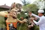 Ogoh-Ogoh Sambut Perayaan Nyepi