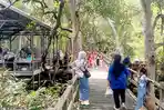 Wisata Mangrove Klempang Sari Paser Hadirkan Pasar Pakot Lati Tuo, Jadi Daya Tarik Baru Wisatawan