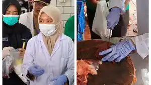 Tim-ahli-kesehatan-hewan-melakukan-pengambilan-sampel-daging-kurban.jpg