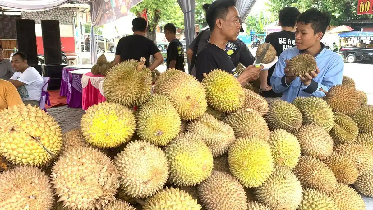 Pecinta Durian Wajib Datang! Pesta Durian Pan Ndut di Demak Digelar hingga Tahun Depan