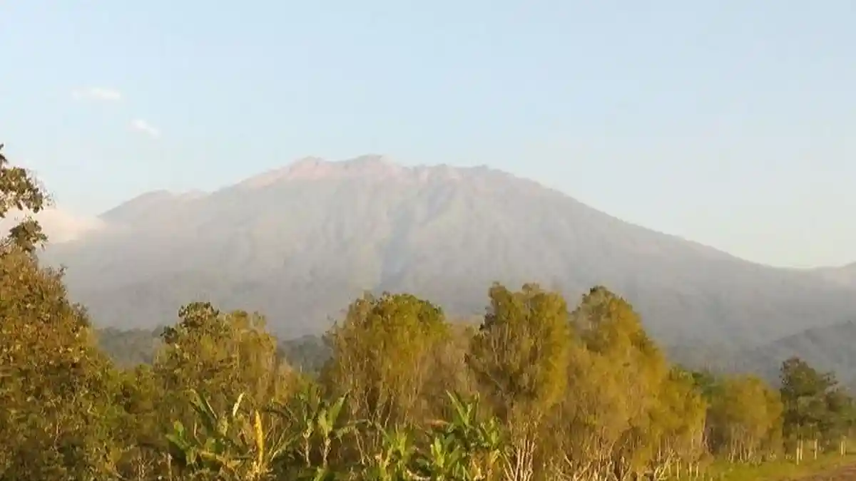 Antisipasi Kebakaran Hutan, Perhutani Tutup Pendakian Gunung Raung dan Rante