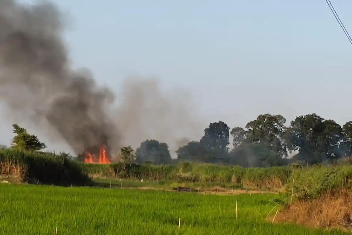 Hari Ini 55,14 Hektar Lahan di Jambi Terbakar, Berikut Rinciannya 