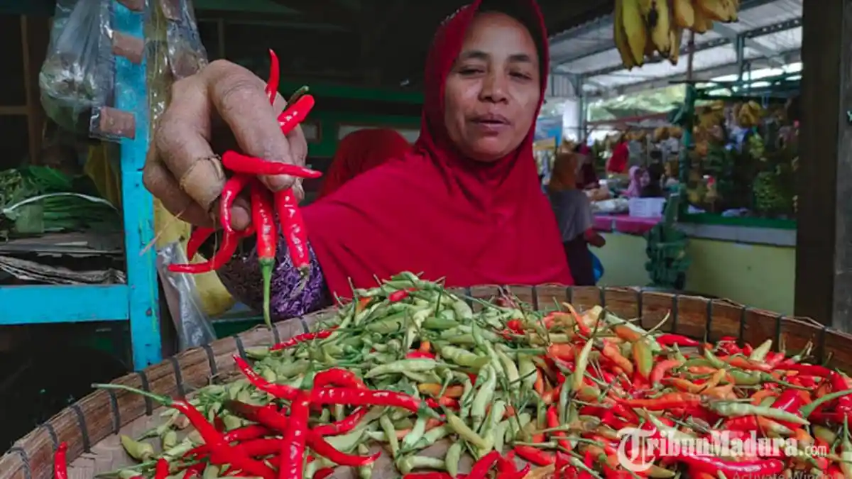 Cabai Merah dan Daging Ayam Kampung Jadi Komoditas Penyumbang Deflasi Sumenep pada September 2019