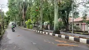 JALAN-Daun-dan-ranting-berserakan-di-Jalan-17-Agustus-Teling-Atas-Wanea-Manado.jpg