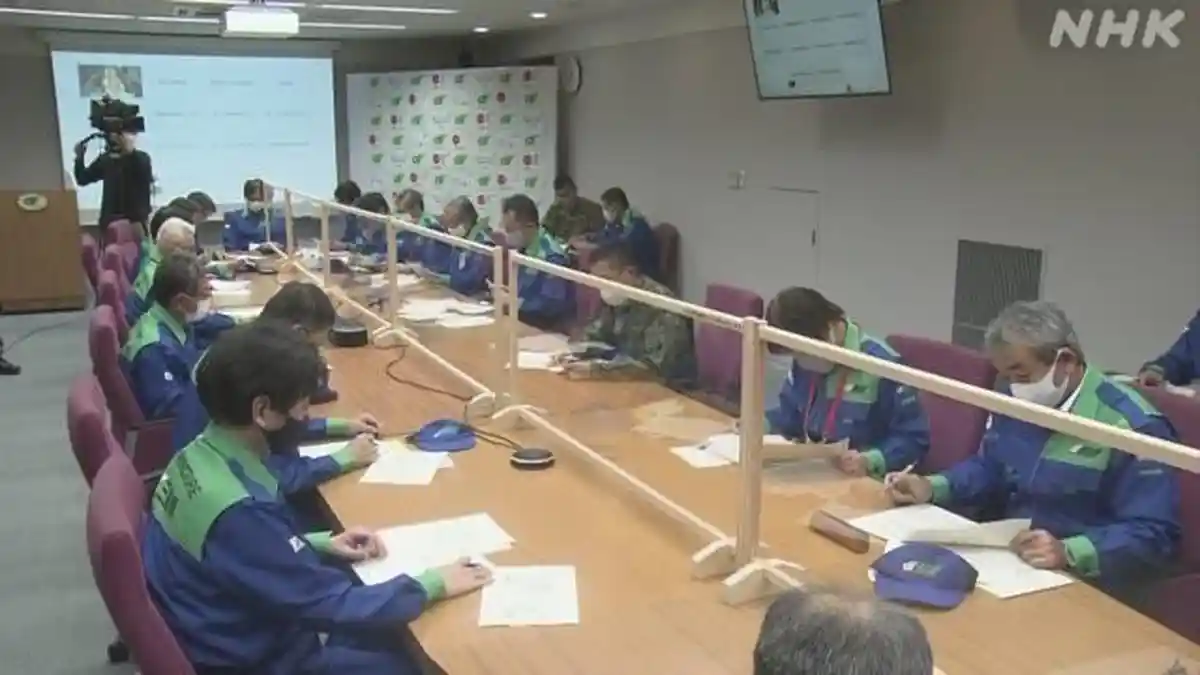 Terserang Penyakit Menular CSF, 6.000 Ekor Babi di Perfektur Mie Jepang Mati