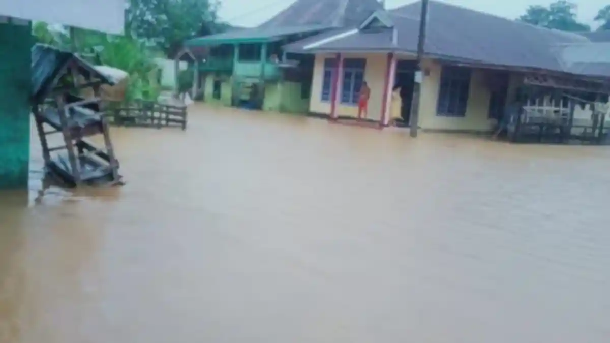Banjir Rendam 2 Kecamatan di Pesisir Barat, dari Pemukiman Warga hingga Sekolah