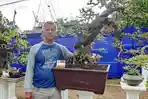 510-Komunitas-Bonsai.jpg