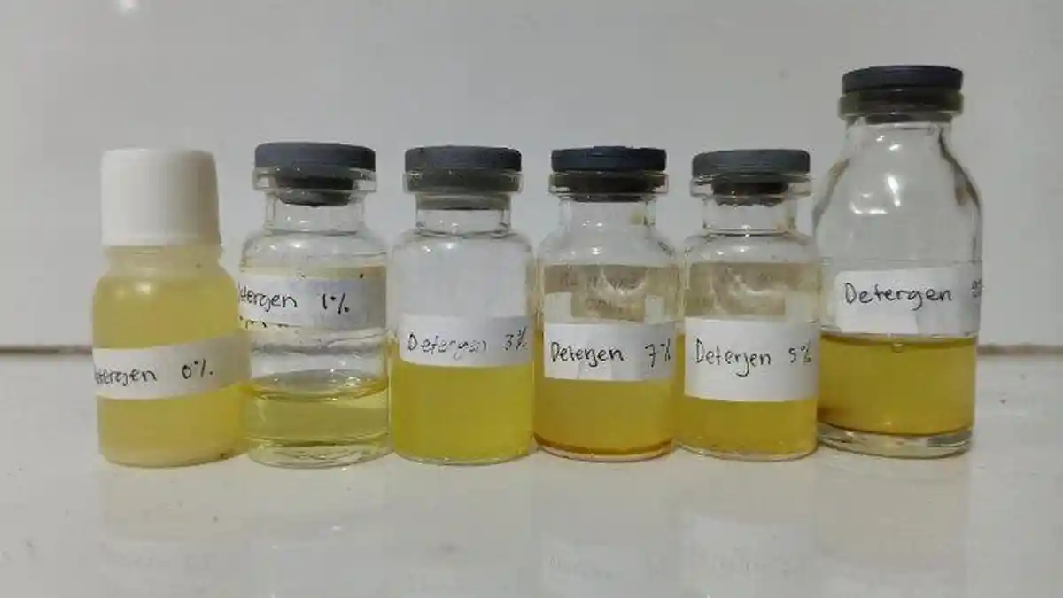 Detergen Cair dari Surfaktan Biji Ketapang dan Ekstrak Daun Pala Sebagai Pengurangan Limbah SLS