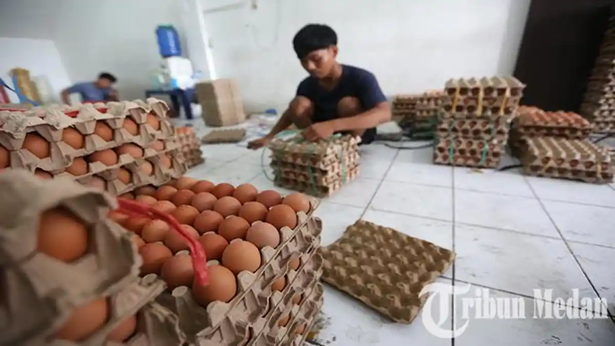 Berita Foto: Omzet Penjualan Pedagang Merosot Hingga 50 Persen, Harga Telur Melonjak - 01062023_KENAIAKAN-HARGA-TELUR_ABDAN-SYAKURO-6.jpg