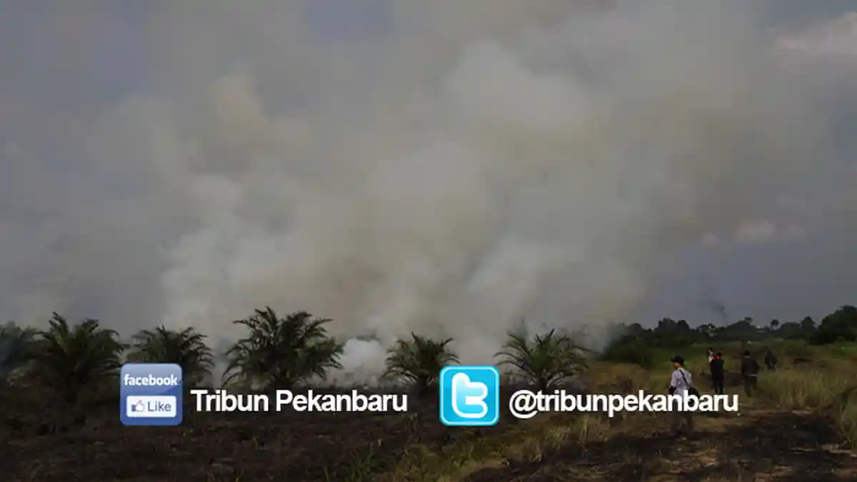 Dua Hotspot Terpantau di Pelalawan, BPBPKD Sebut Belum Menjadi Titik Api