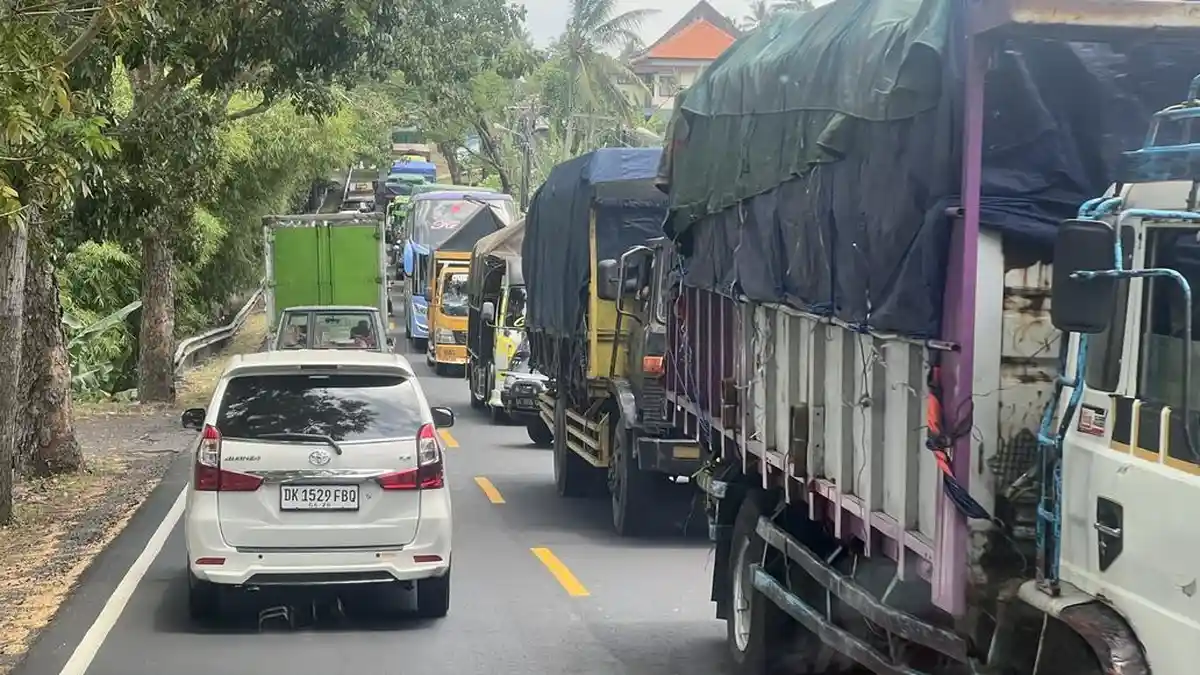 Pohon Tumbang di Tabanan Sebabkan Kemacetan Hingga 18 Kilometer
