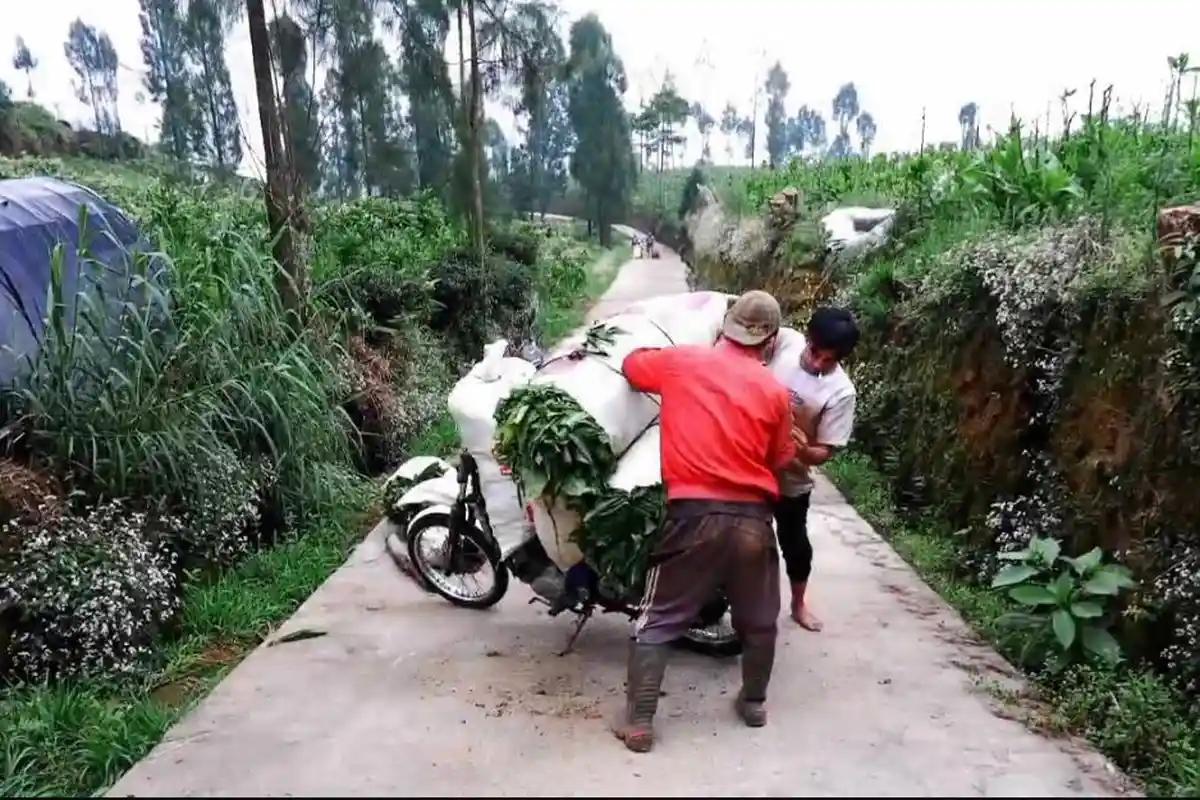 Rasakan Hasil Kerja Afif Nurhidayat di Wonosobo, Warga Bowongso Ingin Afif-Husein Lanjutkan Program 
