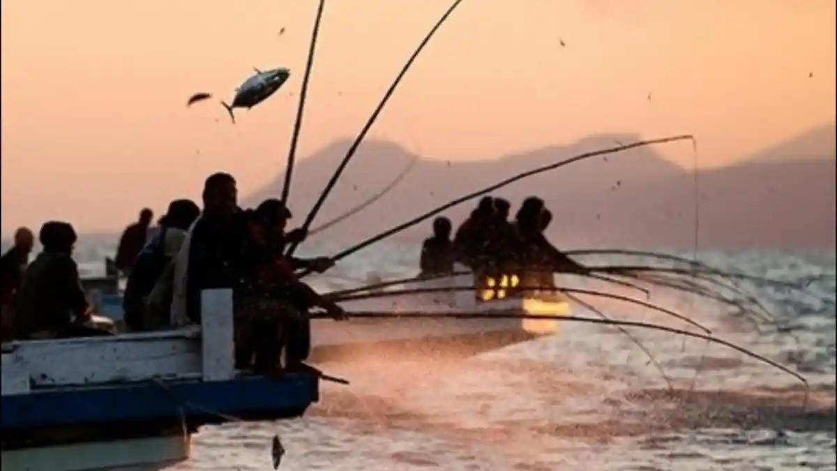 'Huhate' Alat Tangkap Ikan di Malut, Jadi Pengetahuan Tradisional Dilindungi