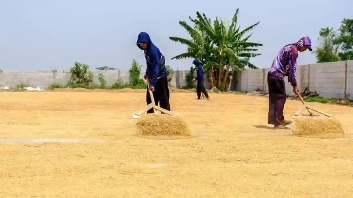 Penuhi Standar Industri, Wilmar Luncurkan Program Revitalisasi Penggilingan di Banten