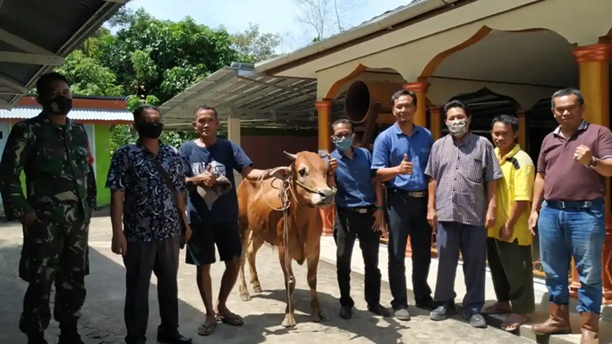 PT Agro Makmur Abadi Sedekah Enam Ekor Sapi Hari Raya Kurban