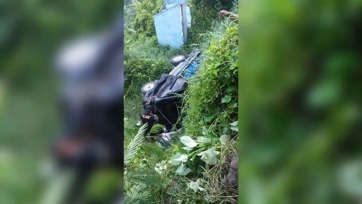 Dua Pemburu Bagong Tewas Saat Mobil Pikap Tabrak Tebing