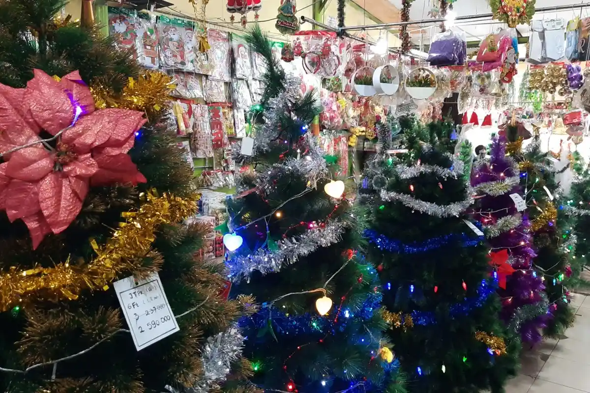 Mengapa Hari Natal Identik dengan Warna Merah dan Pohon Cemara? Begini Asal-usulnya