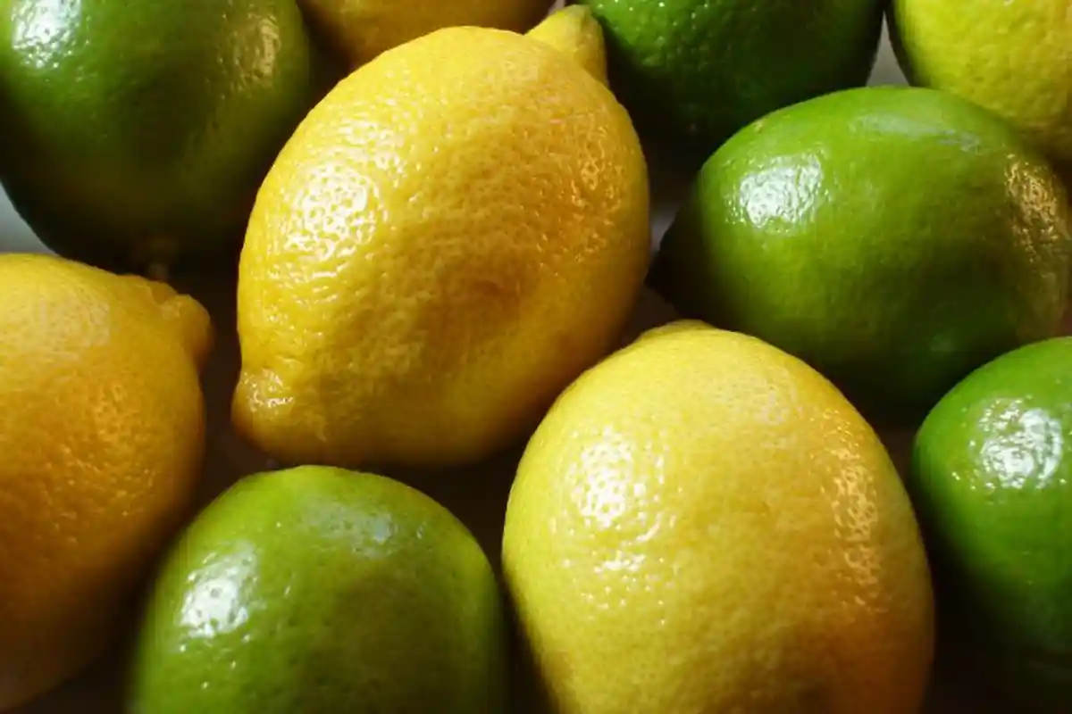 Jeruk Nipis dan Lemon Khasiatnnya Menakjubkan, Bisa Atasi Berbagai Penyakit hingga Cegah Kanker