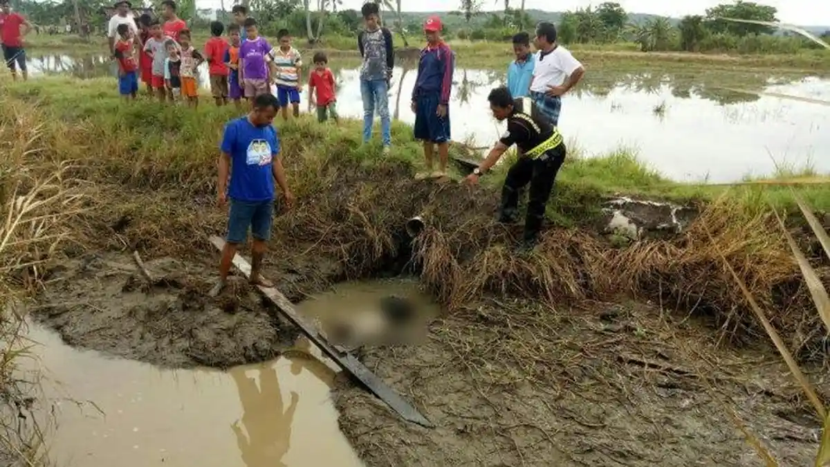 Seharian Tak Pulang, Jasad Aminuddin Ditemukan Tertelungkup di Pembuangan Sawah