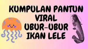 ilustrasi-ubur-ubur-ikan-lele.jpg