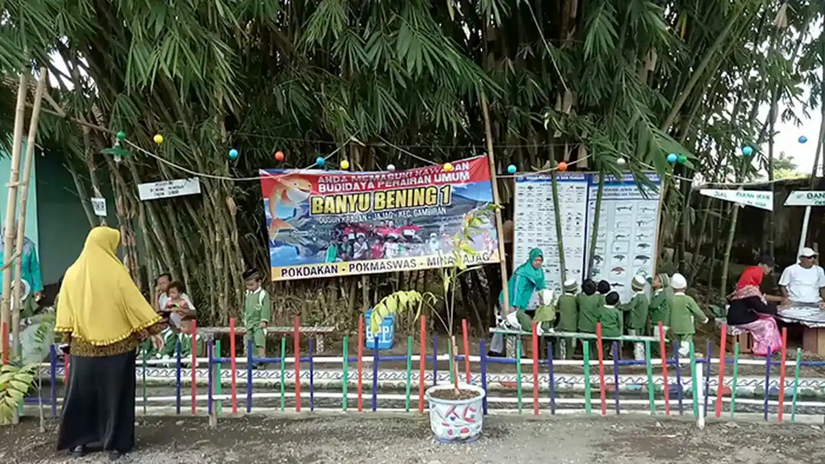 Ribuan Ikan Dipelihara Warga Desa Jajag Banyuwangi di Selokan