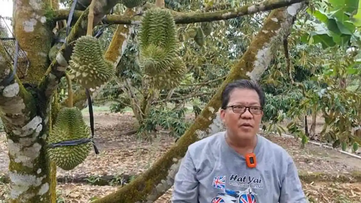 Sosok Dokter Ase, Dokter Durian dari Bangka Belitung - 20250201_Ase-Ardianto-01.jpg