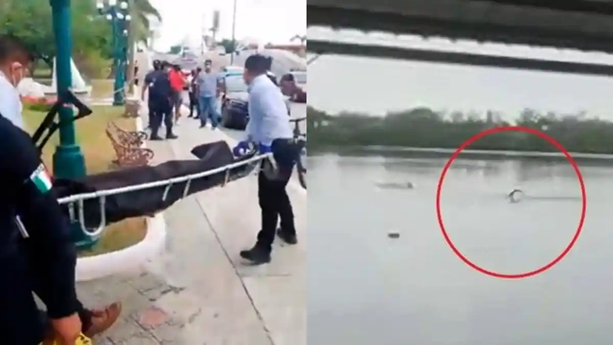 Sempat Terekam Kamera, Seorang Pria Diterkam Buaya setelah Abaikan Peringatan dan Nekat Berenang