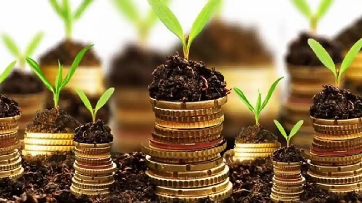 Di Tengah Pandemi Corona, Berikut Ini Deretan Investasi Laris Manis