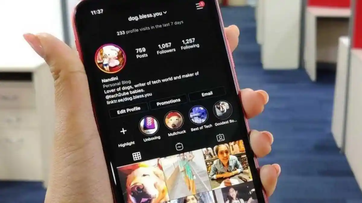 Kumpulan Bio IG Ngakak, Keren dan Aesthetic, Bikin Instagram Kamu ...