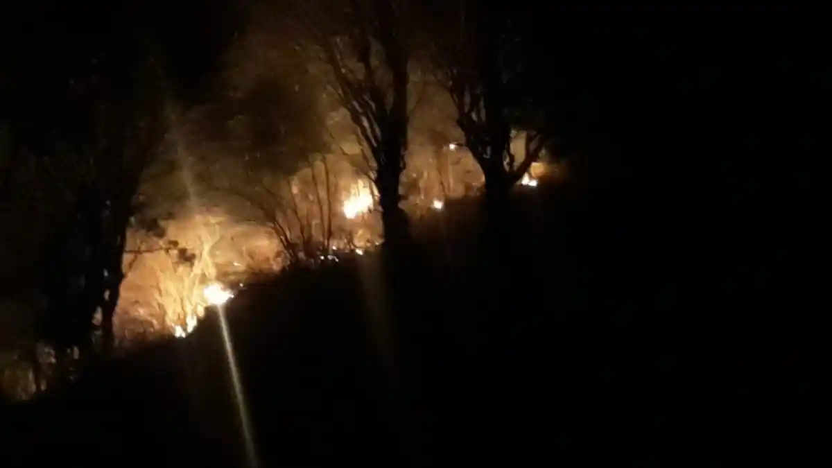 BREAKING NEWS - Lahan di Bukit Jemeluk Karangasem Terbakar