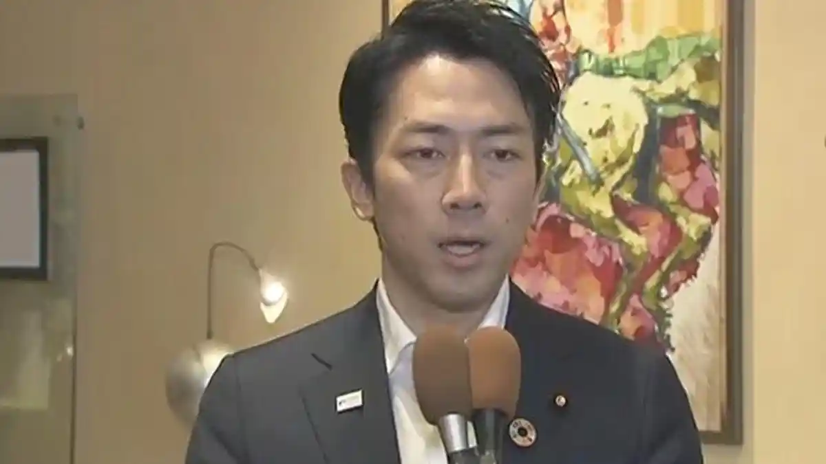 Menteri Lingkungan Hidup Jepang akan Bicara Soal Penggunaan Batu Bara Pembangkit Listrik di COP25