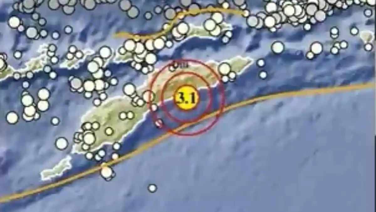 Gempa Bumi Terkini di NTT Senin 13 Juli 2026, Info BMKG Magnitudo dan Lokasinya - Tribunmanado.co.id