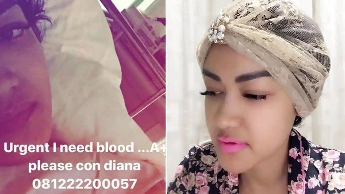 Ucapan Julia Perez Bagi Orang yang Bersedia Jadi Mendonor Darah Baginya