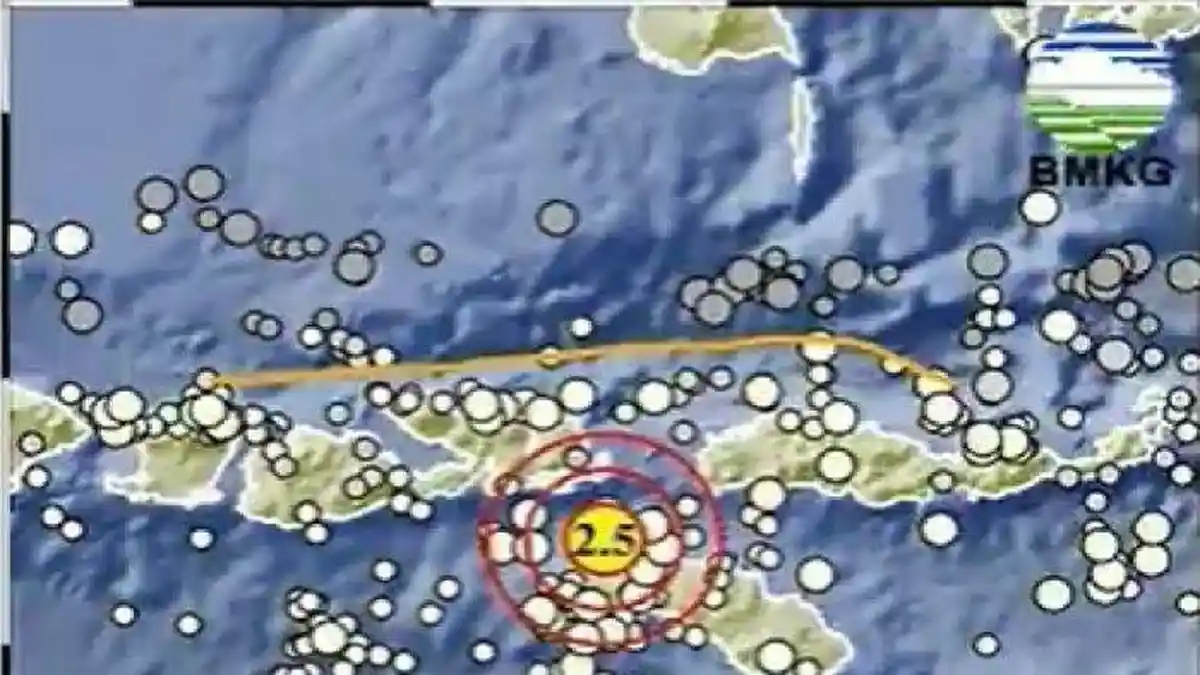 Gempa Bumi 13 Kali Dalam 8 Jam, Sabtu 11 Januari 2025 Cek Jarak dan ...