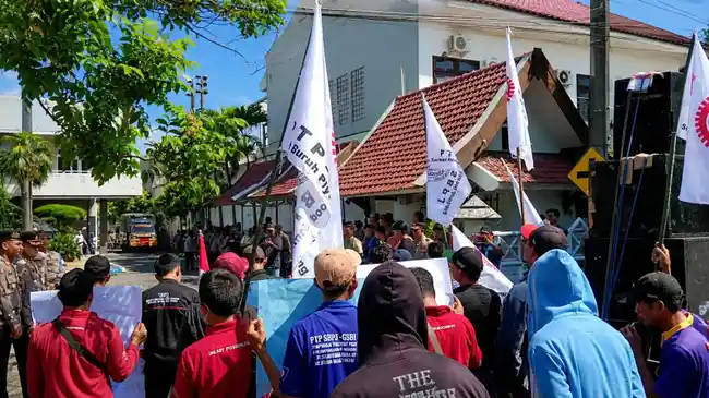 Tribun