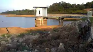 kondisi-waduk-di-batam-yang-mengalami-penyusutan-dan-kekeringan_20150831_143705.jpg