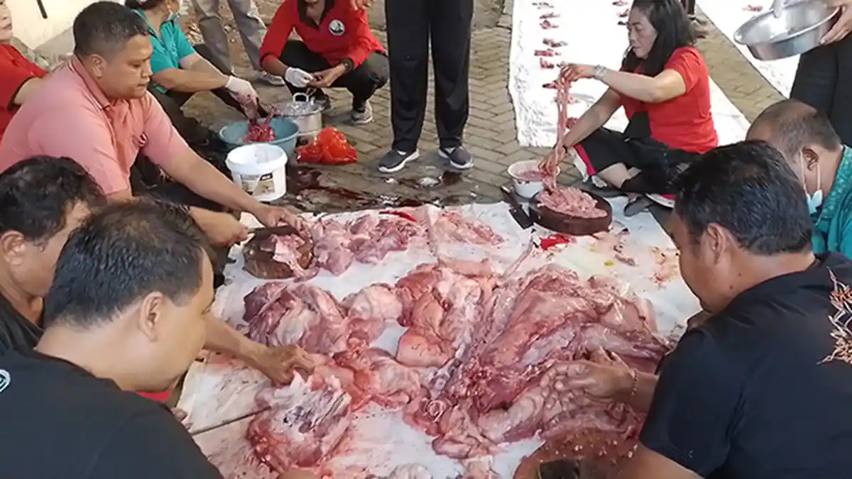 Penyajaan Galungan, Harga Daging Babi di Gianyar Rp40 Ribu Per Kg di Peternak