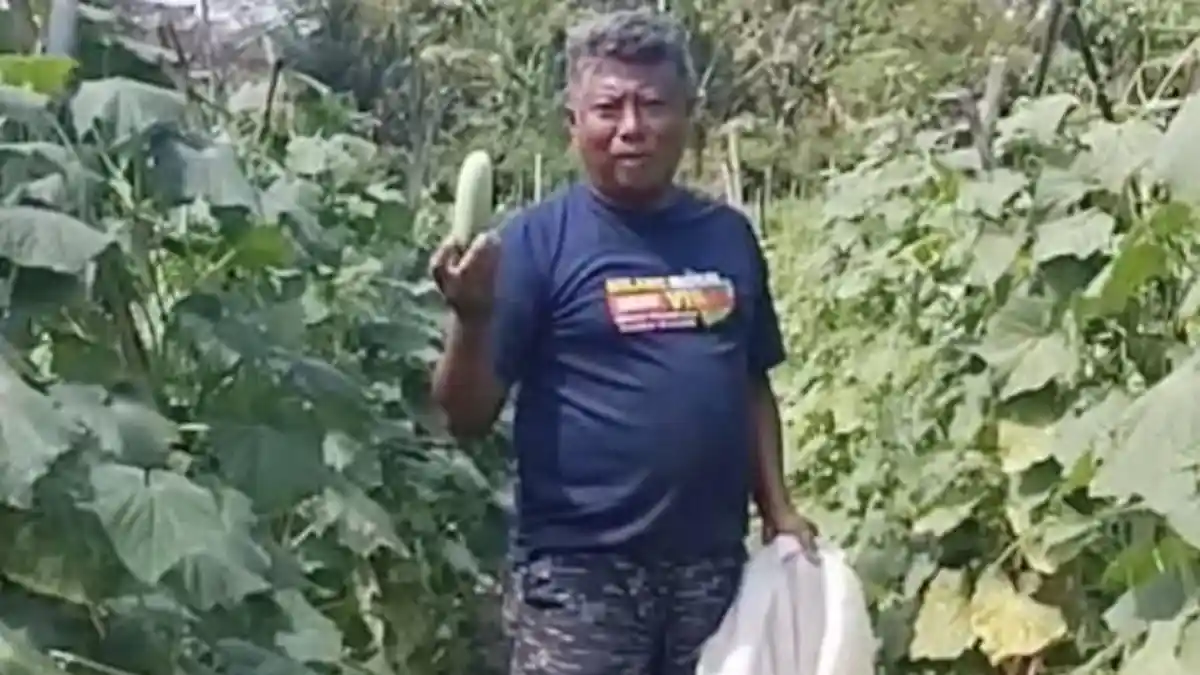 Keluhkan Program MBG, Petani Timun: Katanya Meningkatkan Ekonomi, Tapi Harga Timun Tetap Menderita