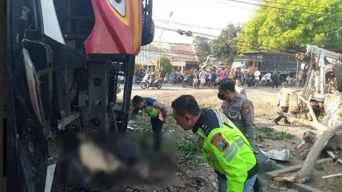 Hindari ODGJ, Sopir Bus Banting Stir Hingga Tabrak Pohon dan Tiang, Lalu Bus Terguling, 2 Tewas