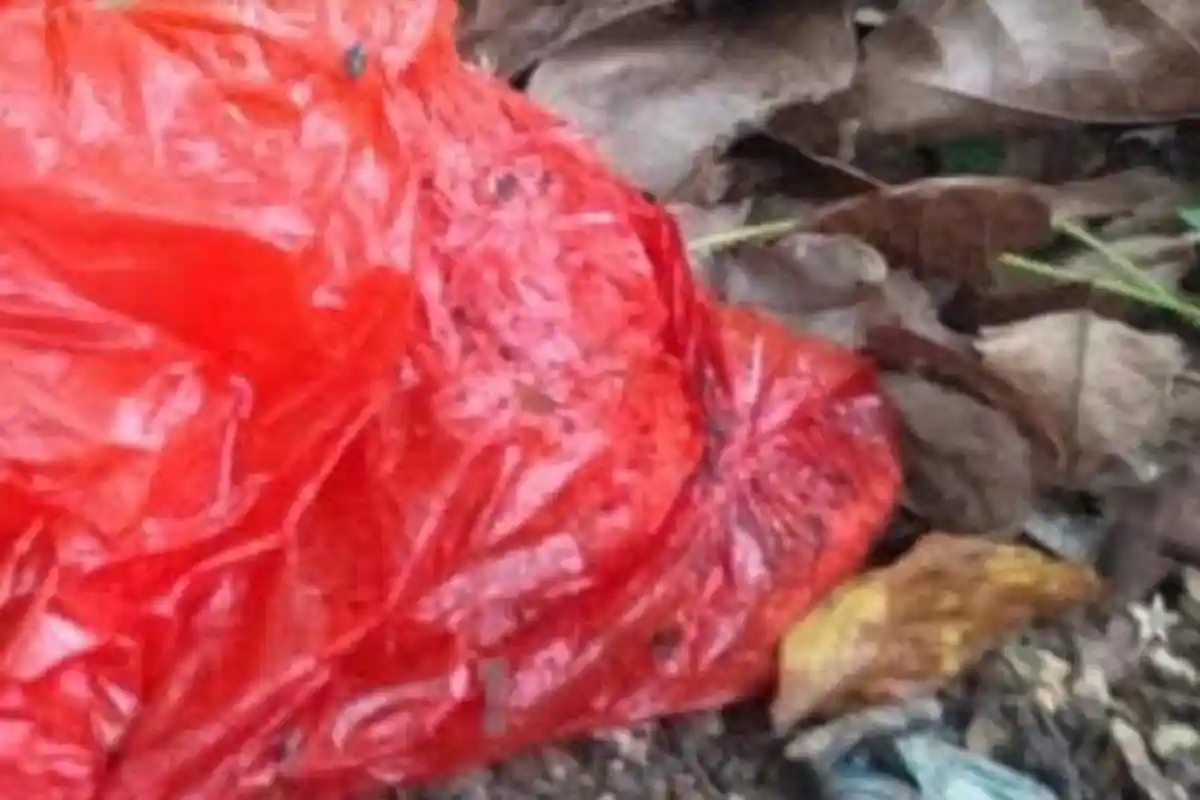 Kakak Adik Tinggal Satu Kost, Adik Lahirkan Bayi, Kakaknya Ditetapkan Sebagai Tersangka