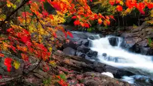 sungai-di-musim-gugur-di-ontario-kanada.jpg