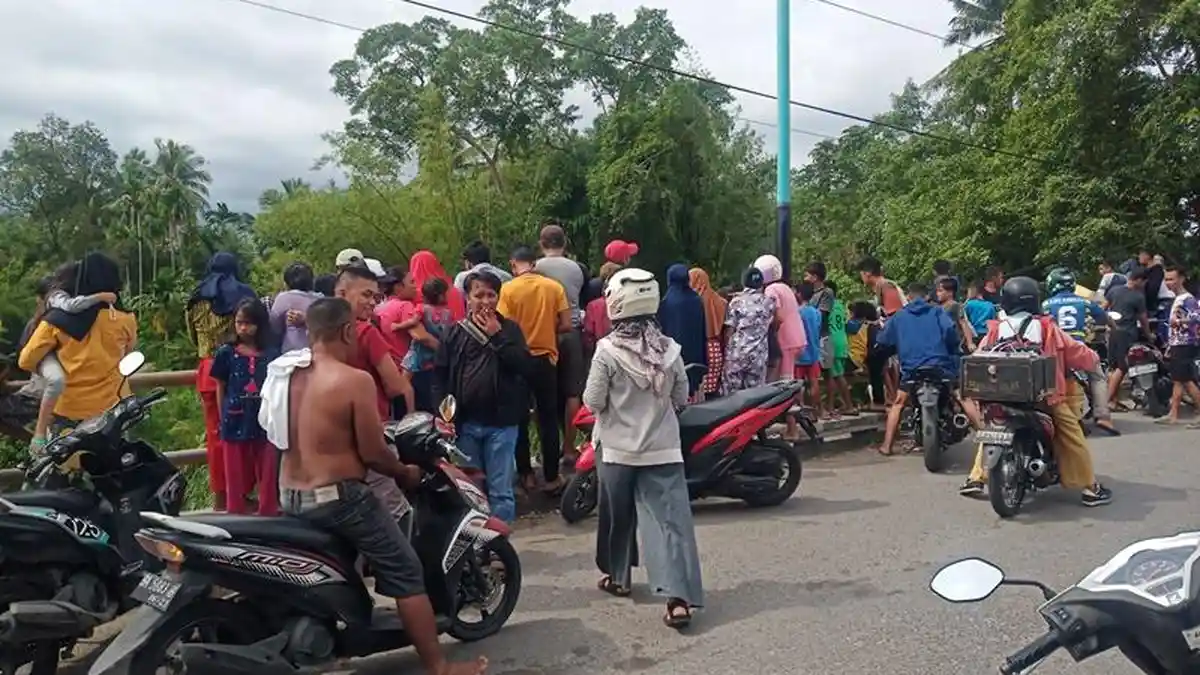 VIDEO Penampakan Buaya di Sungai Sapih Padang, Warga Berbondong-bondong Datang