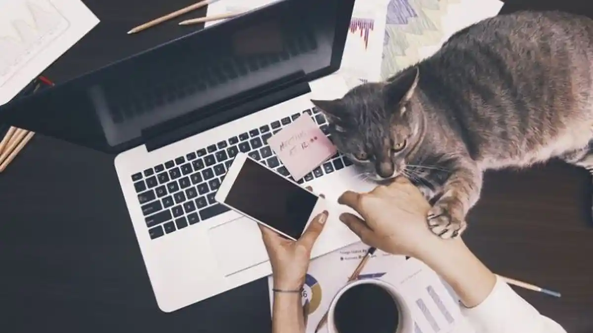 Cara Mengatasi Laptop yang Cepat Panas, Jangan Langsung Bawa ke Tempat Service