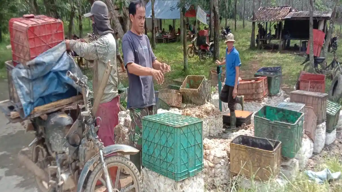 Harga Karet Hari ini di Ogan Komering Ulu Senin 9 Desember 2024, Stabil di Tingkat Petani