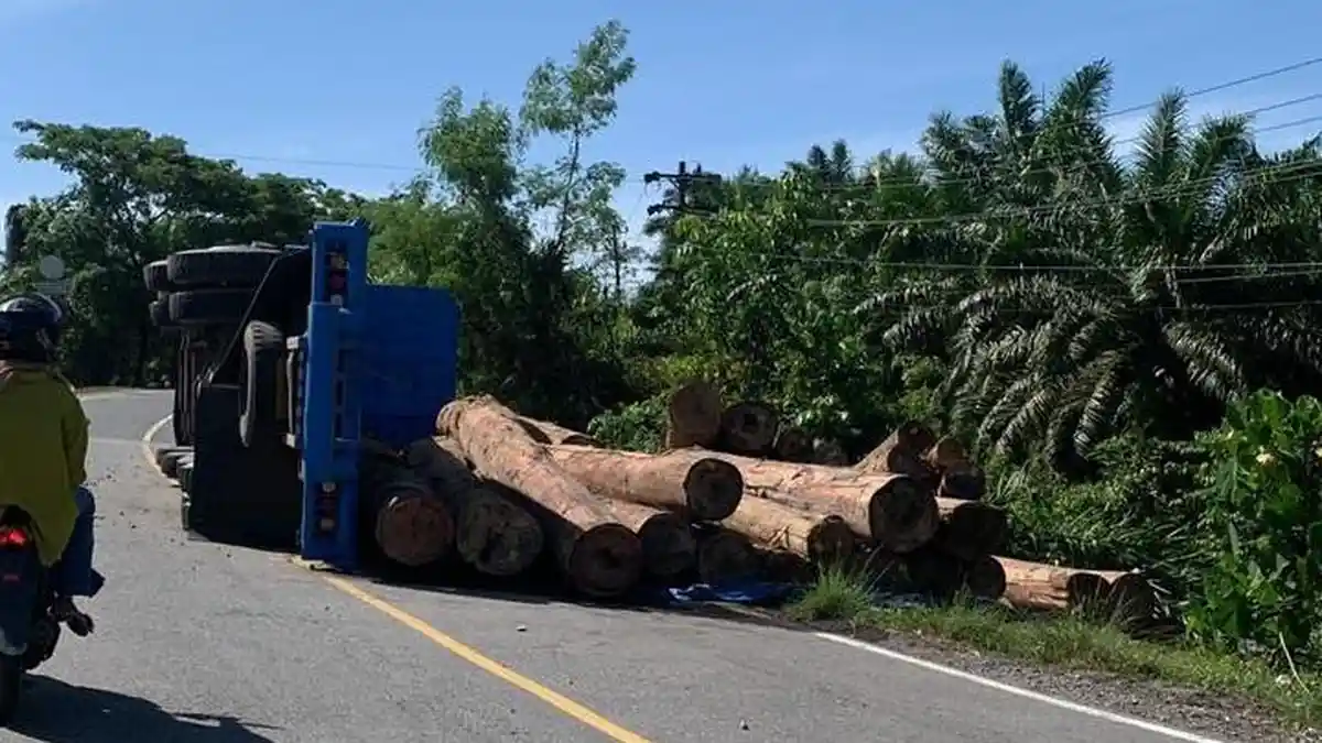 Kasus Tebang Hutan Secara Besaran di Nagan Raya akan Dilaporkan ke KLHK dan APH, Satu Truk Terbalik