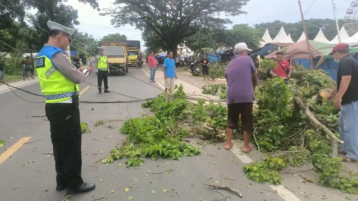 Sat Lantas Polres Batu Bara Evakuasi Pohon Tumbang, Jalinsum Kembali Lancar