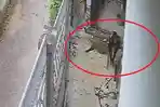 Viral-Rekaman-CCTV-Detik-detik-Remaja-di-Muna-Sulawesi-Tenggara-Curi-Tabung-Gas-Rumah-Makan.jpg