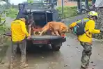 Sinyal Positif dari Operasi SAR 6 Orang Hilang Tanah Longsor Trenggalek, Ada Temuan Anjing Pelacak